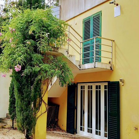 Casa Amarante Porto Villa Eksteriør billede