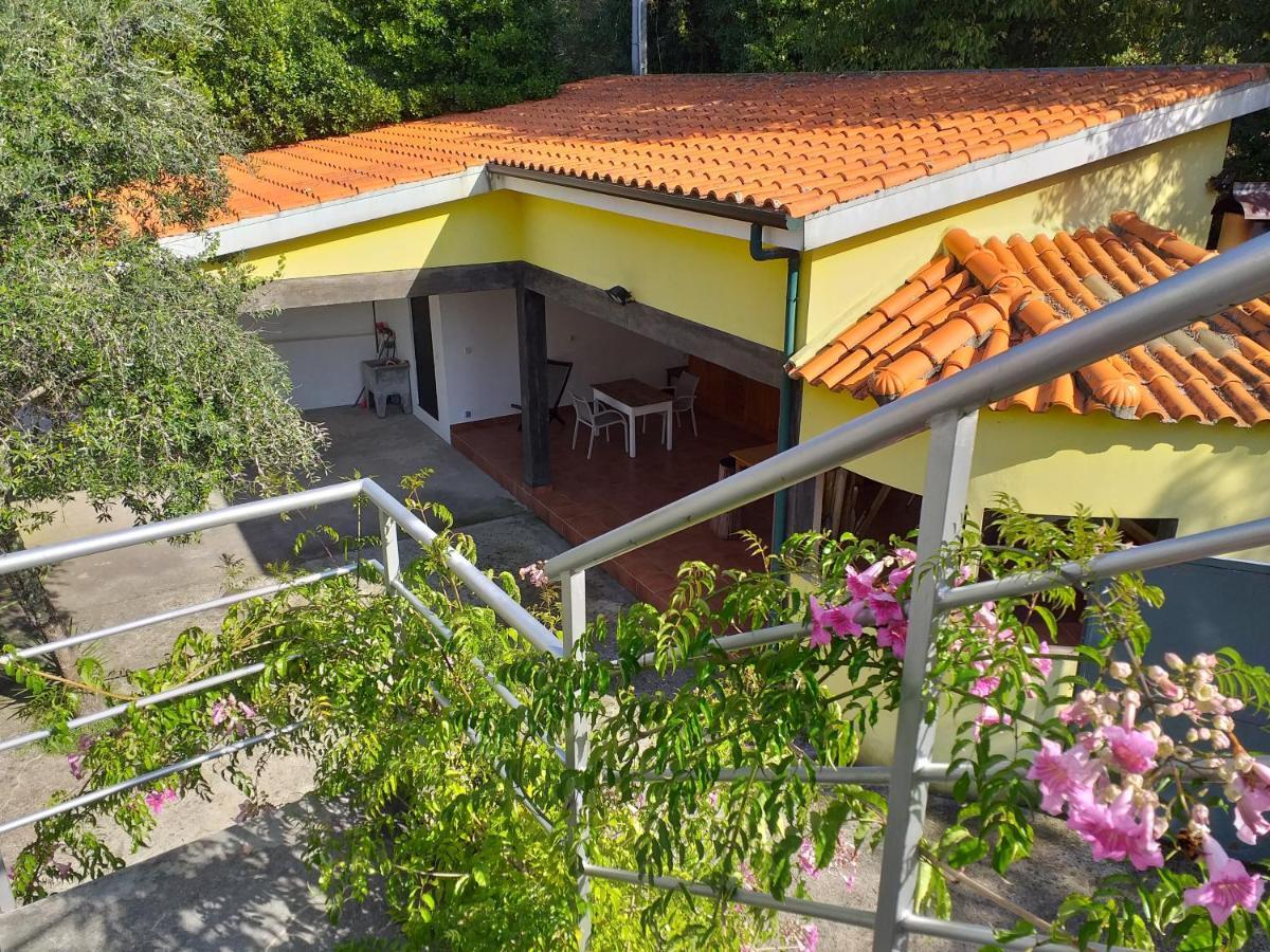Casa Amarante Porto Villa Eksteriør billede